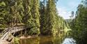 hiking trail that goes past a lake at the ski leisure park