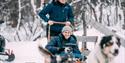 dog sledding with Telemark Husky Tour