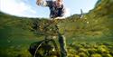 man has caught fish with a net