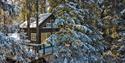 tretopphytta til Lårdal Tretopphytter blant trærne om vinteren