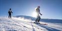 par som kjører alpin på Haukelifjell skisenter