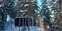 cabin in a winter forest