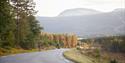 road cycling in Vrådal