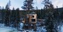 tree top cabin at Å Camp