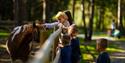 children feeding a horse at Foldvik Family Park