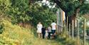 family on a walk on the coastal path in Bamble