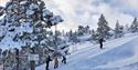 group of 4 on cross-country skiing in Vrådal