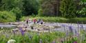 group of young people walking the Bufjordstigen at Dalen