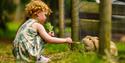 a little girl feeds a rabbit