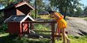 girl watching animals