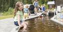 99 / 5000
Oversettelsesresultater
little girl sitting on the miniature Telemark Canal at Vest Telemark Museum Eidsborg with her legs in the water