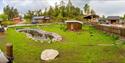 the duck pond at Hulfjell farm in Drangedal