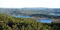 overview picture of forest and water in Drangedal