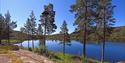 lake Sandvann in Drangedal