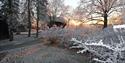 Brekkeparken winter