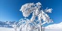 tree with snow on it, at Rauland