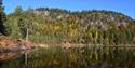 water and forest in Drangedal