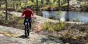 cyclist rides on svaberg