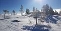 winter landscape in Vrådal