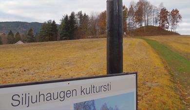 Siljuhaugen culture trail