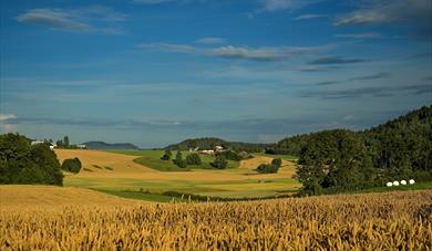 Gea Norvegica Unesco Global Geopark - Fensfelt