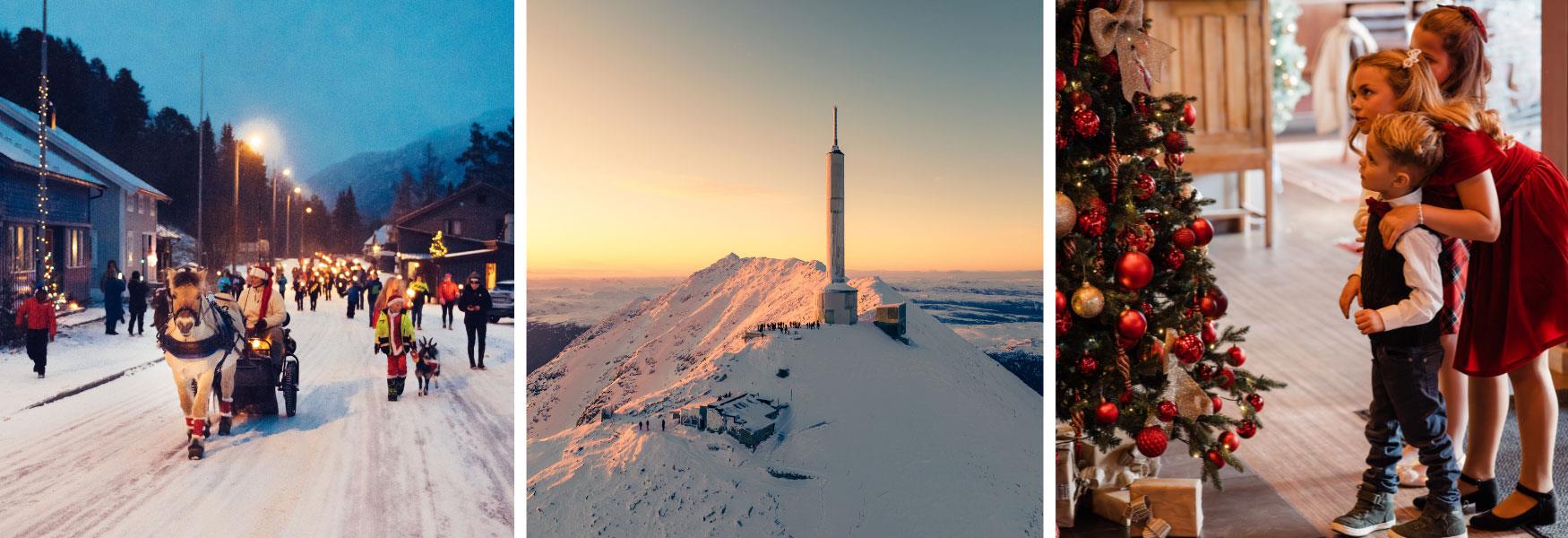 toppbanner jul og vinter