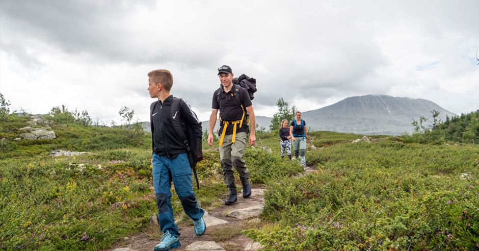 Telemark Nature Sustainability in Telemark – we take care of nature - Visit Telemark