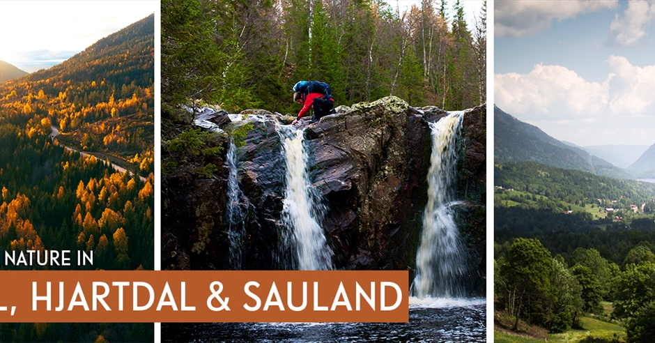 Telemark Nature Active in Nature: Hjartdal, Tuddal, and Sauland - Visit Telemark