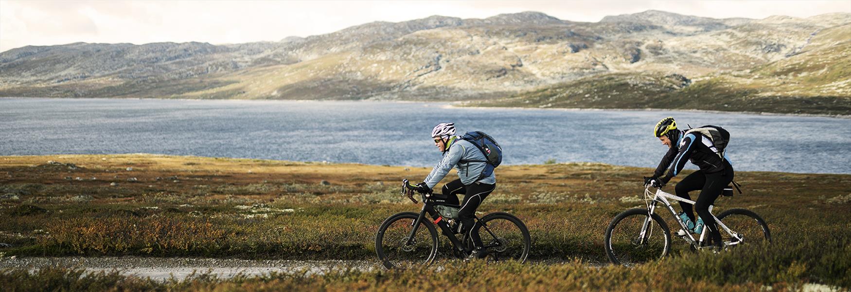 Cycling on the Hardangervidda in the autumn