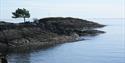 Jypleviktangen is a part of the coastal path, a very popular hiking area with great fishing opportunities.
