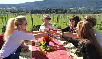 gruppe av damer koser seg med vin på Lerkekåsa