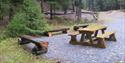 picnic area in the forest in Skien leisure park