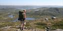 man walking on the Hardanger mountain plateau