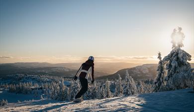 dame kjører snowboard på Lifjell skisenter