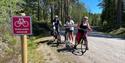 group of cyclists cycling on the cultural round trip in Drangedal