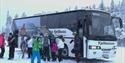 Fjellbussen brings you to Svineroi for trips to Gaustatoppen