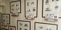 drawings of different animals at gallery Merleyn in Fyresdal
