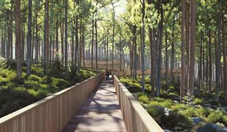 den nye tretoppveien på Hamaren Aktivitetspark gjennom skogen