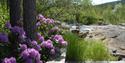 The beautifully landscaped outdoor area at Fossumsanden Camping and cabin rental