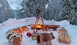 bonfire in the forest in winter