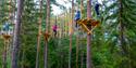 barn klatrer høyt opp i trærne på klatreparken Høyt og Lavt i Bø i Telemark
