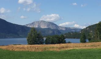 Vokalfestival i Nissedal, bildet viser en åker med et vann og fjell i bakgrunnen