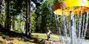 Frisbee golf at the Skien fritidspark