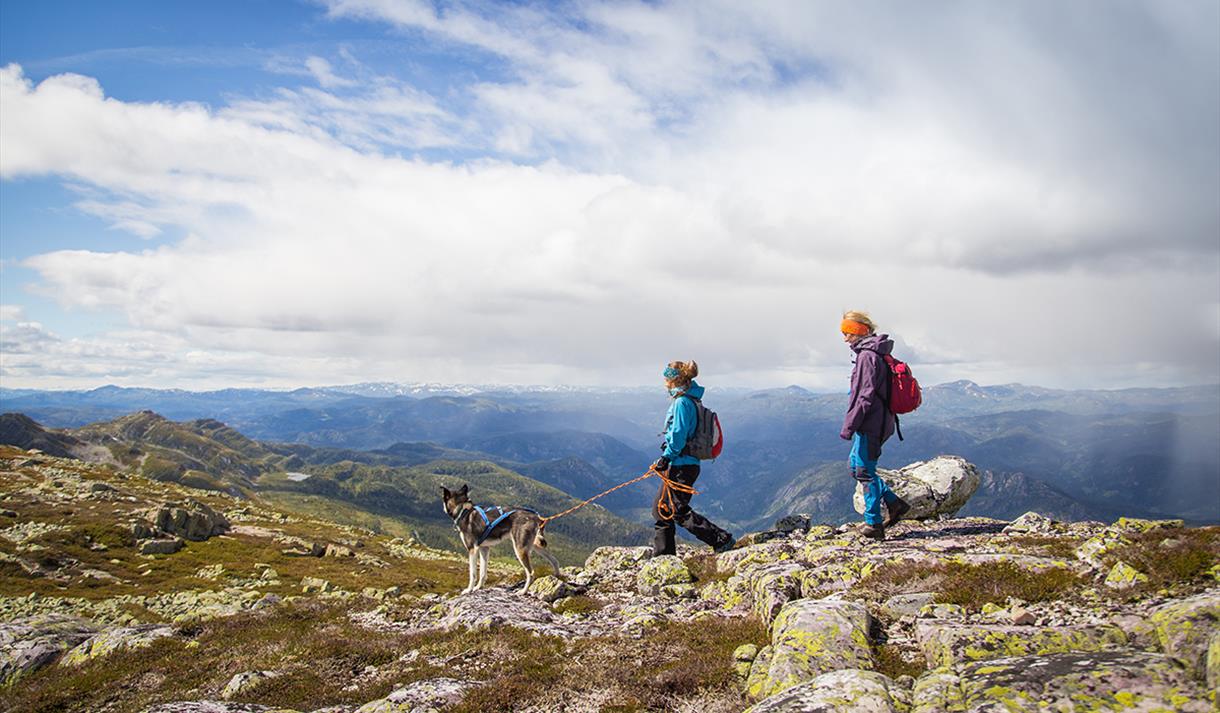 two walkers with a dog on top of mount Skorve