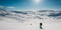 vinterlandskap på Haukelifjell