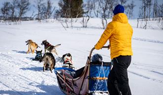 på hundesledetur med Telemark Husky Tour om vinteren