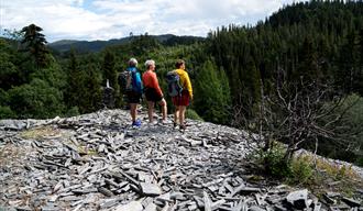 gruppe vandrere på toppen av brynesteinsbruddet