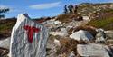 Vandrerutene på Lifjell er godt skiltet og merket. Her ser man bokstaven T malt i rødt på en stein for å vise veien, og 3 mennesker som går tur i fjellandskapet.