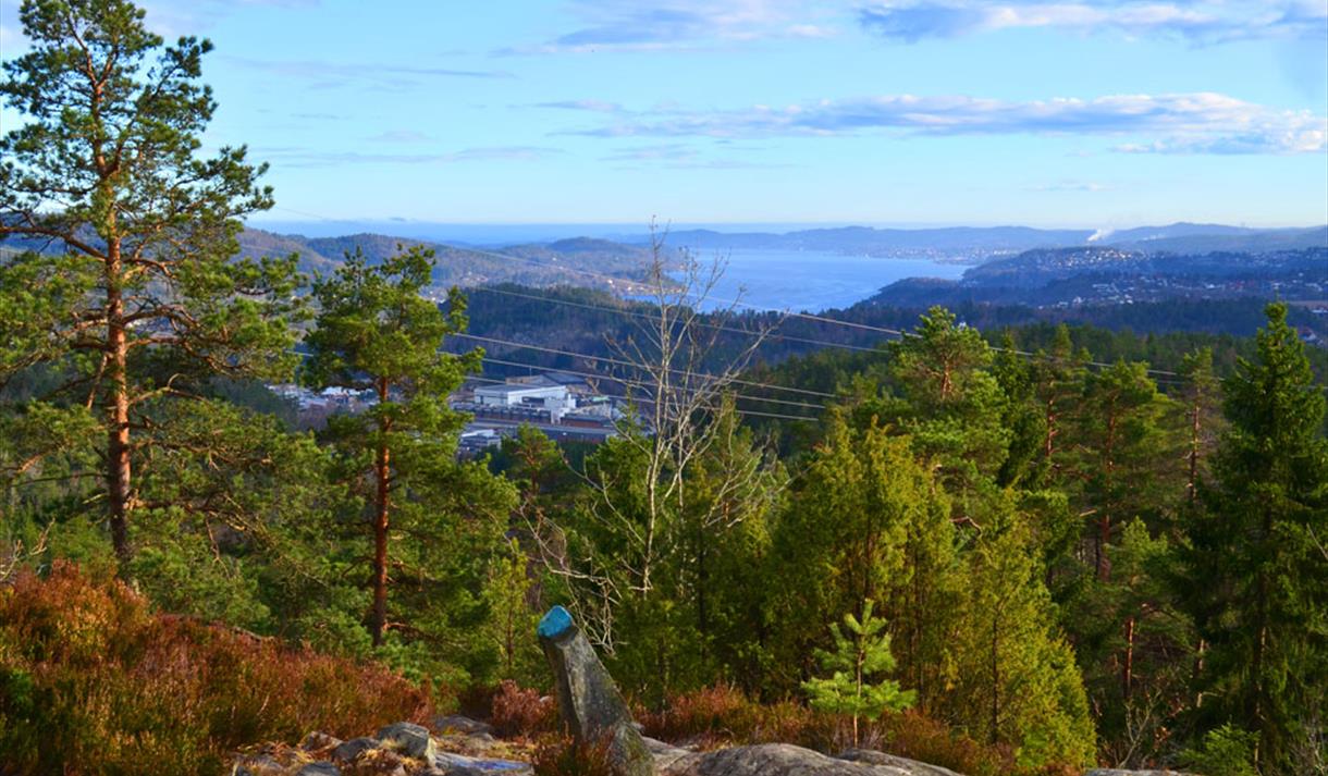 Utsikt fra Valleråsen i Porsgrunn
