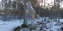 Bjørnen, et unikt klatreelement for barn, på 3,5m på Hamaren aktivitetspark